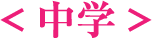 中学